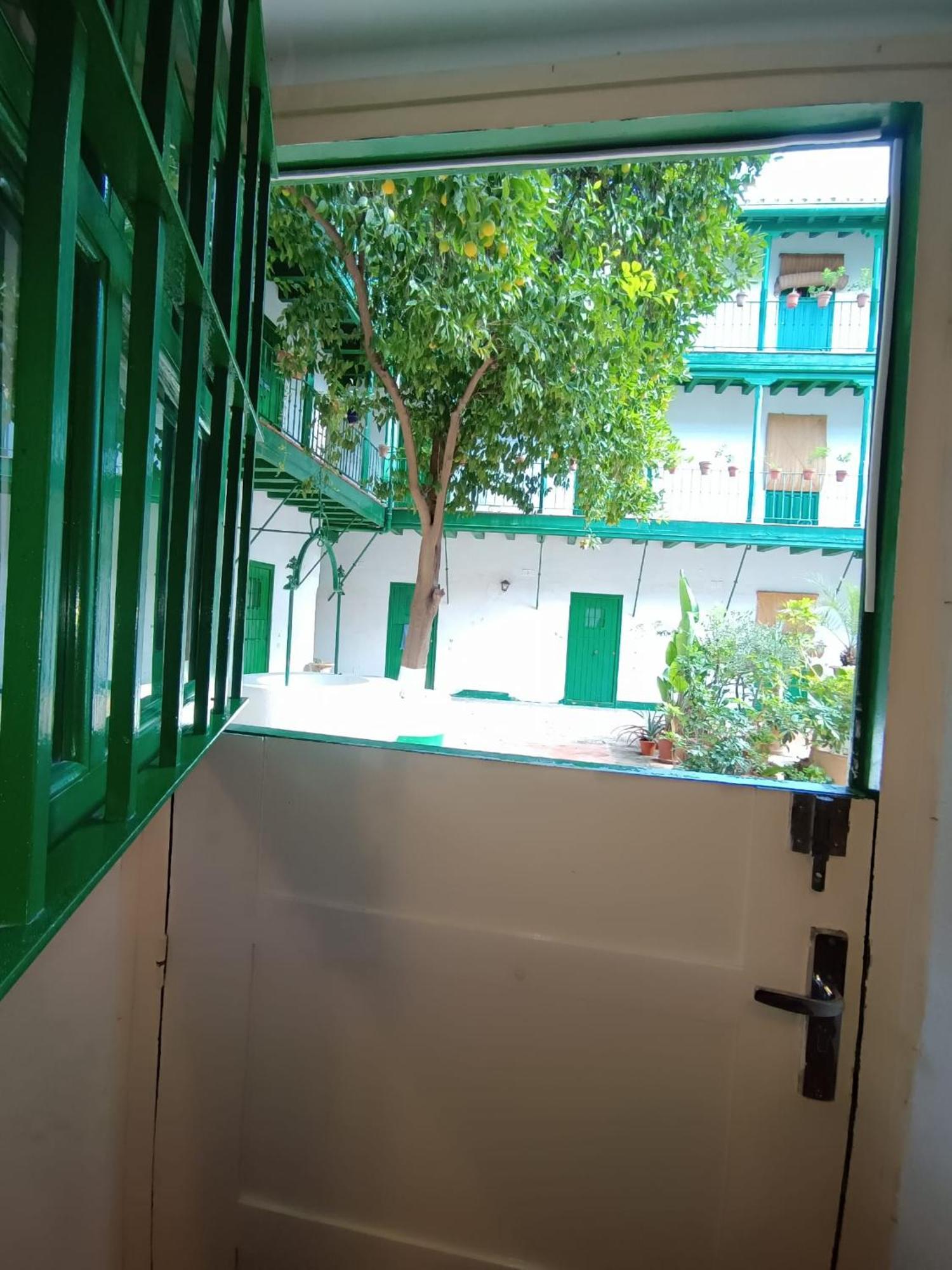 La Puerta De Setas De Appartement